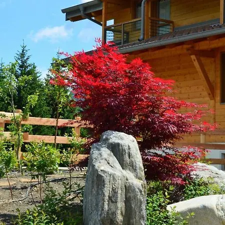 Bonetei Aparthotel